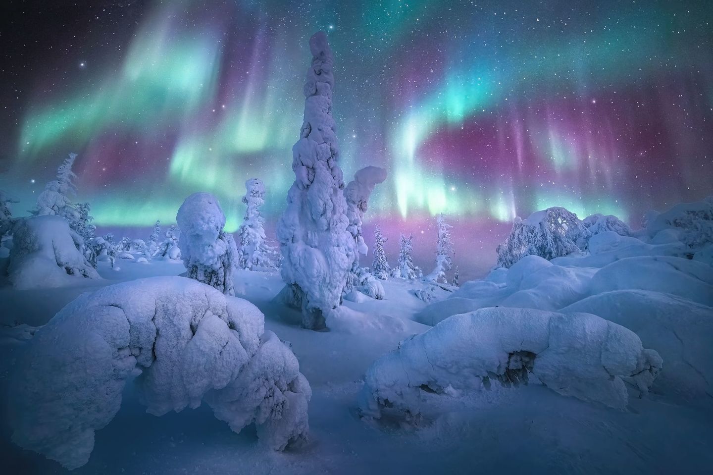 NORTHERN LIGHTS PHOTOGRAPHER OF THE YEAR