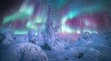 NORTHERN LIGHTS PHOTOGRAPHER OF THE YEAR