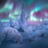 NORTHERN LIGHTS PHOTOGRAPHER OF THE YEAR