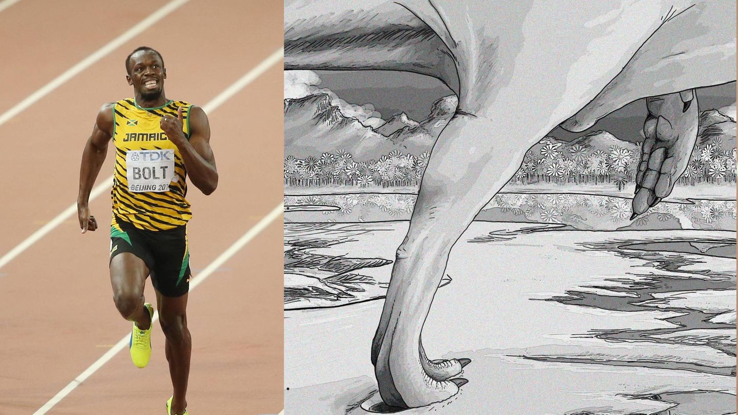 Als Läufer Usain Bolt 2009 seinen Rekord über 100 Meter aufstellte, erreichte er eine Spitzengeschwindigkeit von 44,72 km/h. Das konnte einige Dinosaurier wohl locker überbieten 