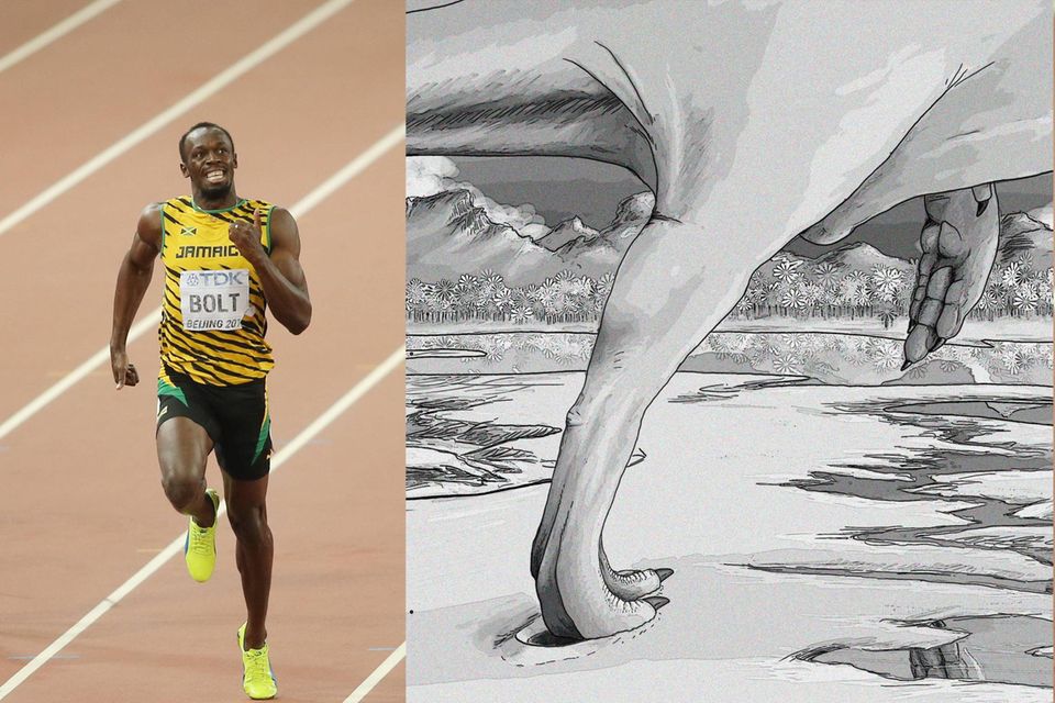 Als Läufer Usain Bolt 2009 seinen Rekord über 100 Meter aufstellte, erreichte er eine Spitzengeschwindigkeit von 44,72 km/h. Das konnte einige Dinosaurier wohl locker überbieten 