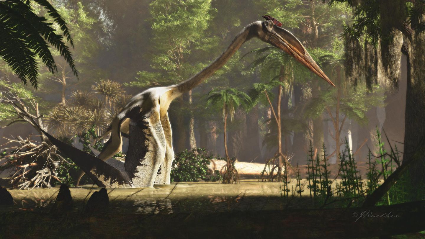 Im Wasser watender Quetzalcotalus