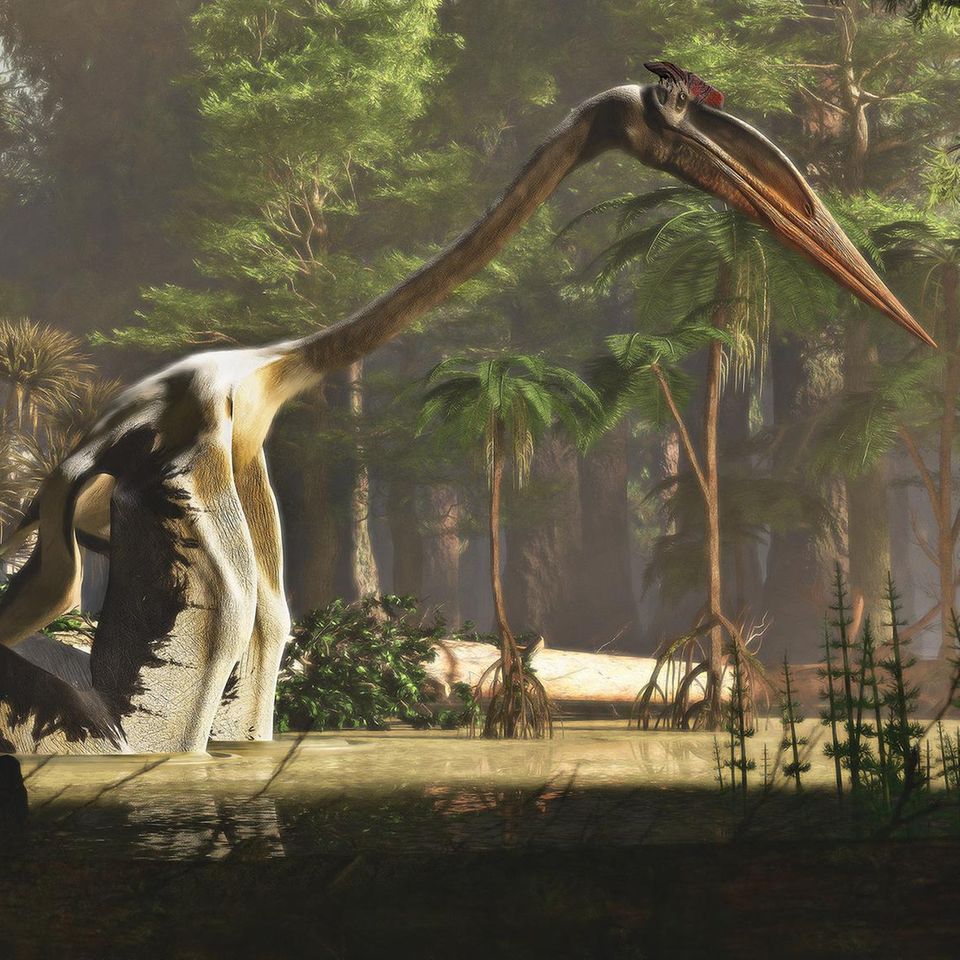 Im Wasser watender Quetzalcotalus