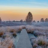 15.12.2021      "An der deutsch-belgischen Grenze erstreckt sich eine gewölbte Hochfläche auf 600 km2 Landfläche – der Naturpark Hohes Venn. Während die Moore und Heiden früher auf Entspannungssuchende eher abschreckend gewirkt haben, sieht die Situation heute durch die vielen ausgeschilderten Wanderwege anders aus. Die Gefahr, sich bei plötzlichen Wetterumschwüngen in dichtem Nebel und Schnee zu verirren, ist Vergangenheit. Stattdessen ziehen kilometerlange Wanderwege und Holzstege die Landschaft und laden einen zu grenzüberschreitenden Rundwanderungen ein."      Kamera: Sony Alpha A99-V