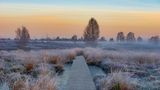 15.12.2021      "An der deutsch-belgischen Grenze erstreckt sich eine gewölbte Hochfläche auf 600 km2 Landfläche – der Naturpark Hohes Venn. Während die Moore und Heiden früher auf Entspannungssuchende eher abschreckend gewirkt haben, sieht die Situation heute durch die vielen ausgeschilderten Wanderwege anders aus. Die Gefahr, sich bei plötzlichen Wetterumschwüngen in dichtem Nebel und Schnee zu verirren, ist Vergangenheit. Stattdessen ziehen kilometerlange Wanderwege und Holzstege die Landschaft und laden einen zu grenzüberschreitenden Rundwanderungen ein."      Kamera: Sony Alpha A99-V