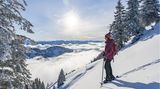 Frau mit Schneeschuhen auf einer Wanderung im winterlichen Bayerischen Wald