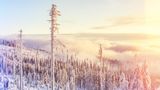 Aufziehender Nebel im winterlichen Bayerischen Wald