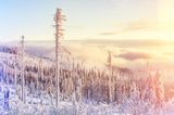 Aufziehender Nebel im winterlichen Bayerischen Wald
