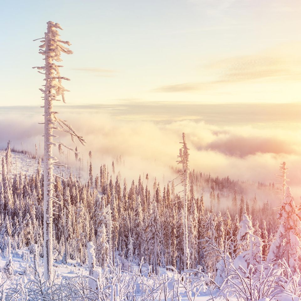 Aufziehender Nebel im winterlichen Bayerischen Wald