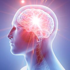 Neurowissenschaftler ergründen, warum der Mensch glaubt 