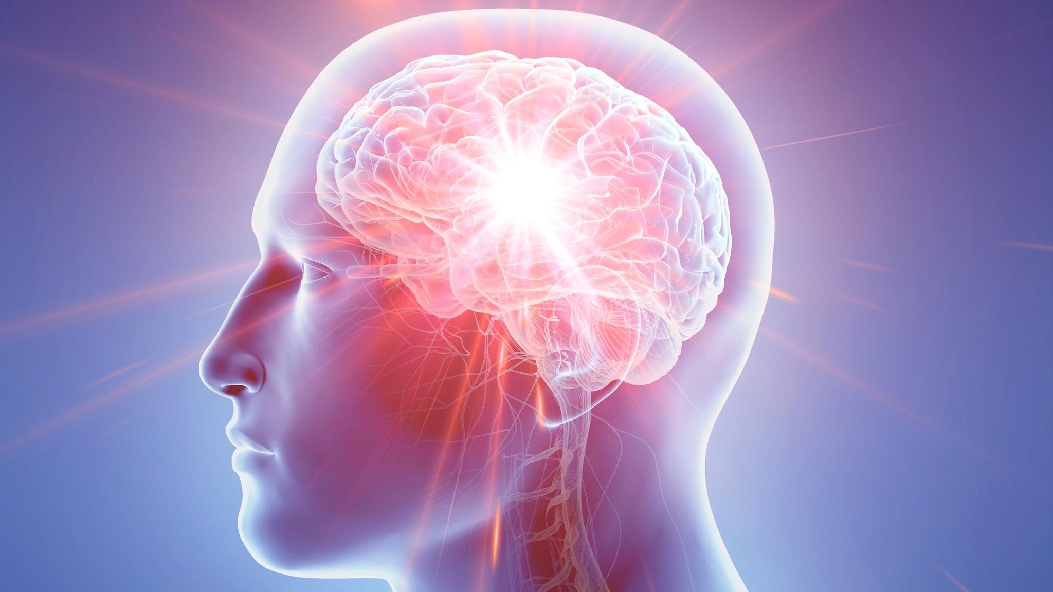 Neurowissenschaftler ergründen, warum der Mensch glaubt 
