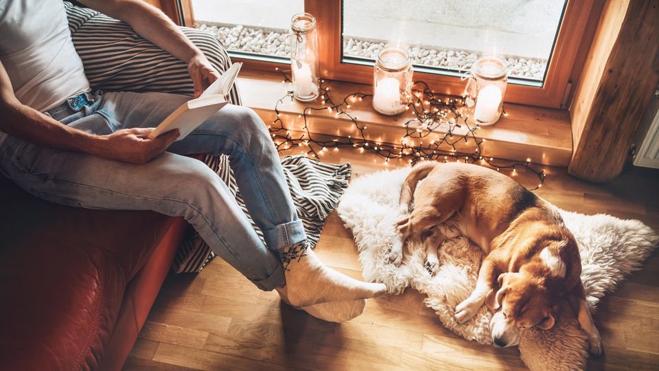 Mann liest ein Buch, zu seinen Füßen liegt auf einem Fell ein schlafender Hund