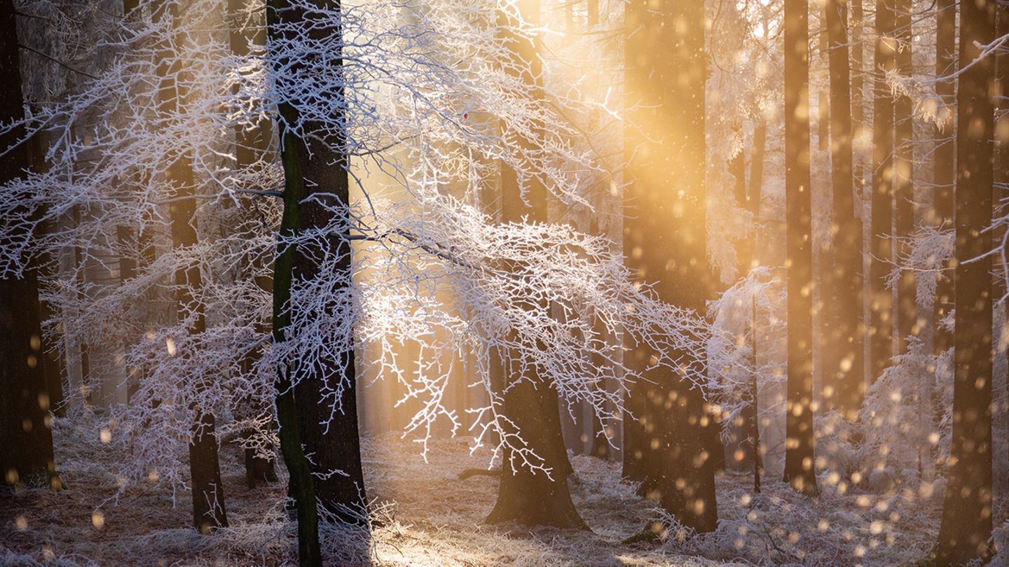 Wintermärchen Wintermärchen