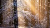 Wintermärchen