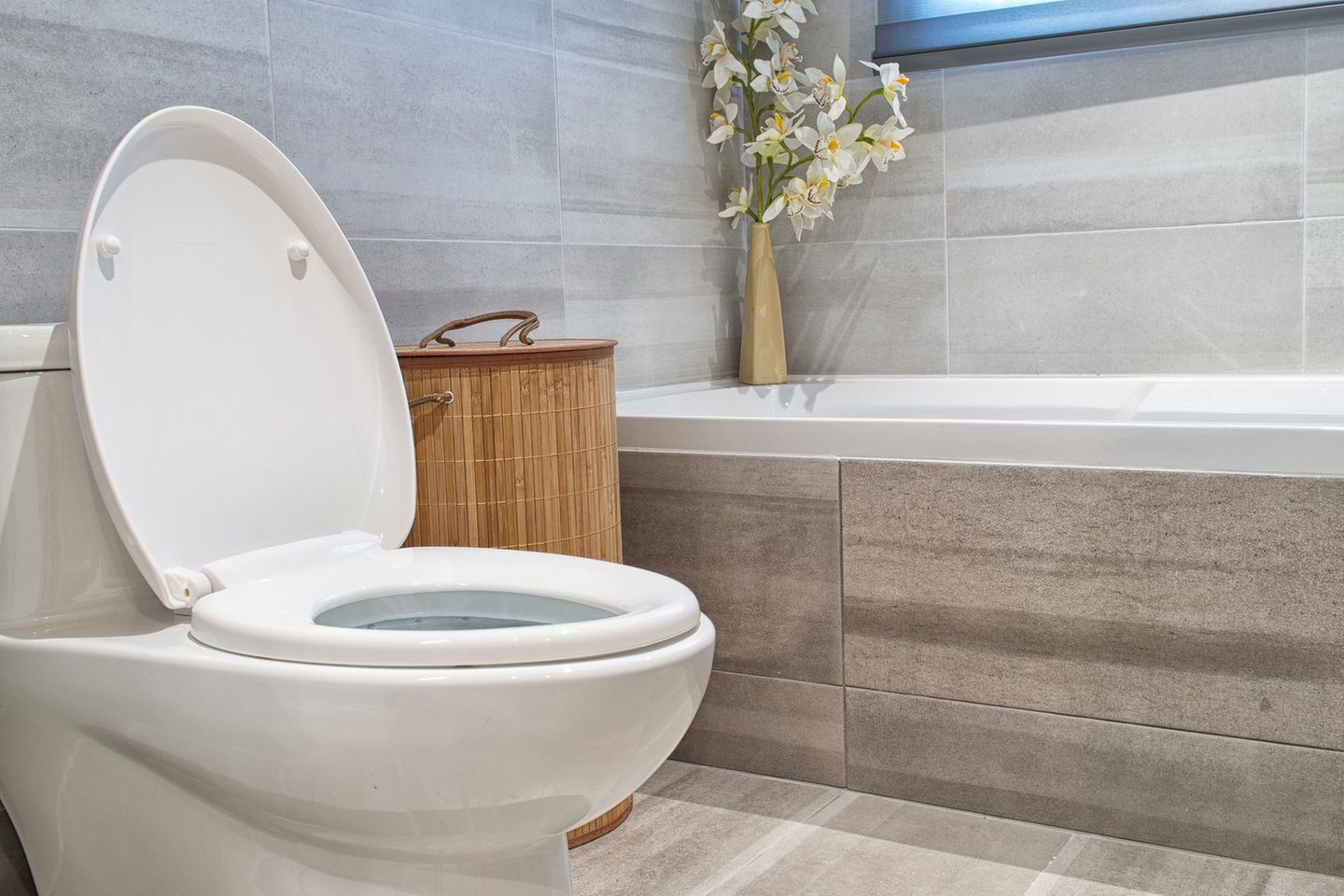 Verminderter Handrang Toilette