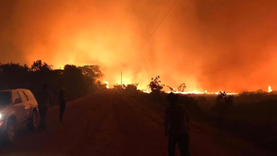 Südamerika: Das Pantanal umfasst nach Angaben der Forscher eine Gesamtfläche von 179 400 Quadratkilometern – im Jahr 2019 seien dort mehr als 16 000 Quadratkilometer Fläche verbrannt Das Pantanal umfasst nach Angaben der Forscher eine Gesamtfläche von 179 400 Quadratkilometern – im Jahr 2019 seien dort mehr als 16 000 Quadratkilometer Fläche verbrannt