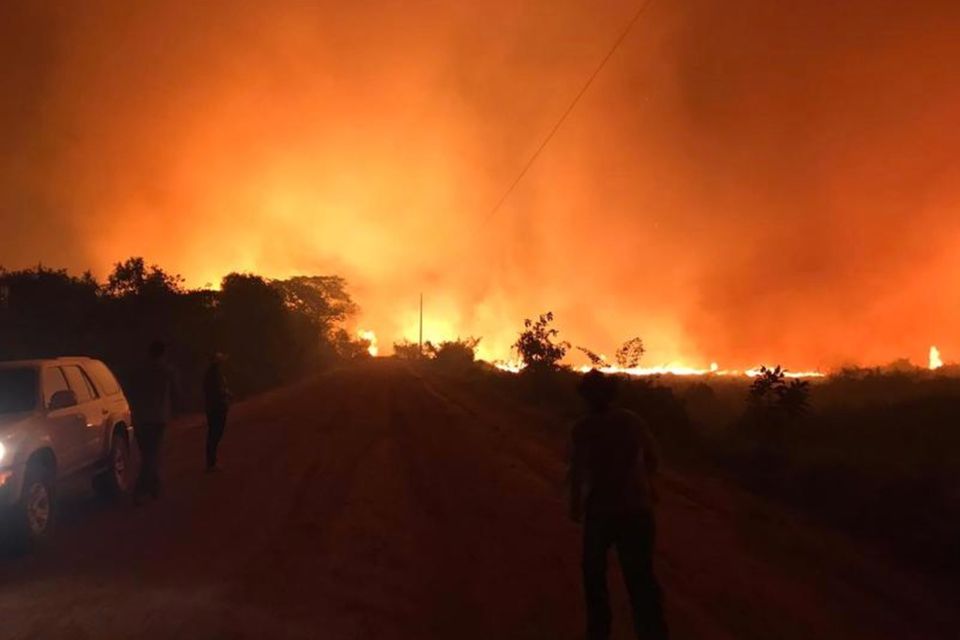 According to the researchers, the Pantanal covers a total area of ​​179,400 square kilometers - in 2019, more than 16,000 square kilometers were burned there