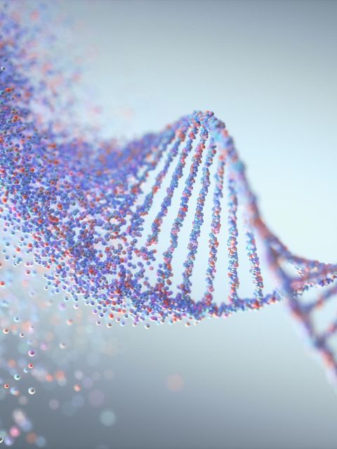 Das entschlüsselte Ich: Unsere Autorin wagt den Selbstversuch – und schickt ihr Erbgut ins Labor