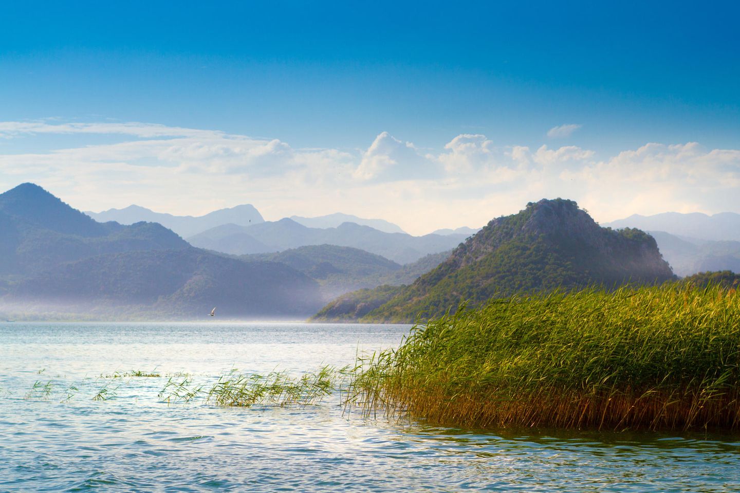 Was sollte man auf keinen Fall verpassen? Skadarsee in Montenegro