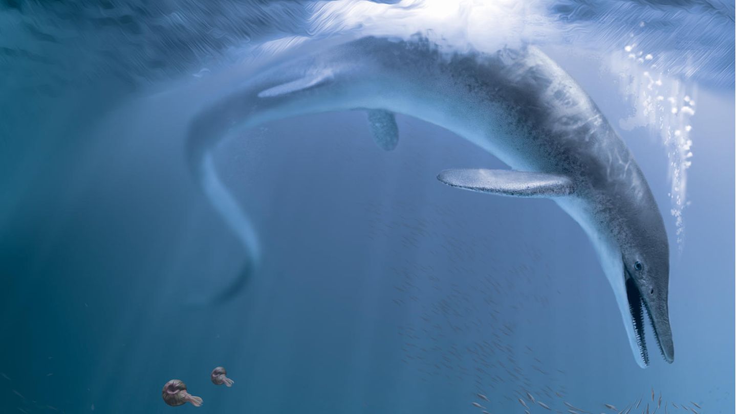 Ichthyosaurier Gigantischer Saurier der Meere [GEO]