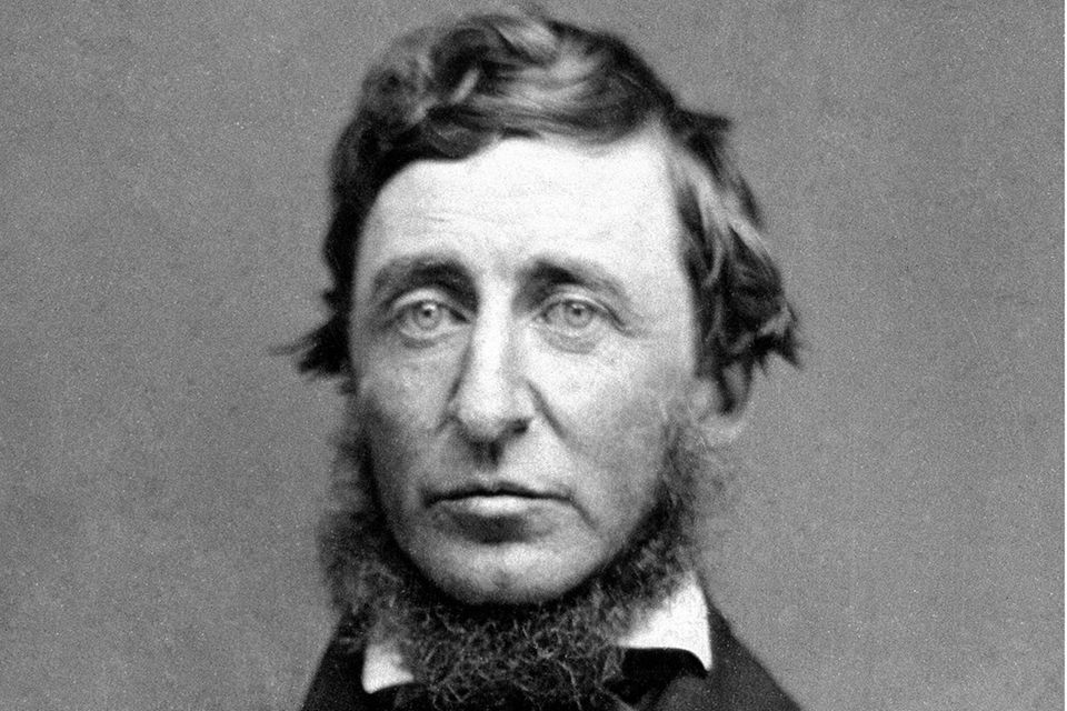 Henry David Thoreau im Jahr 1856