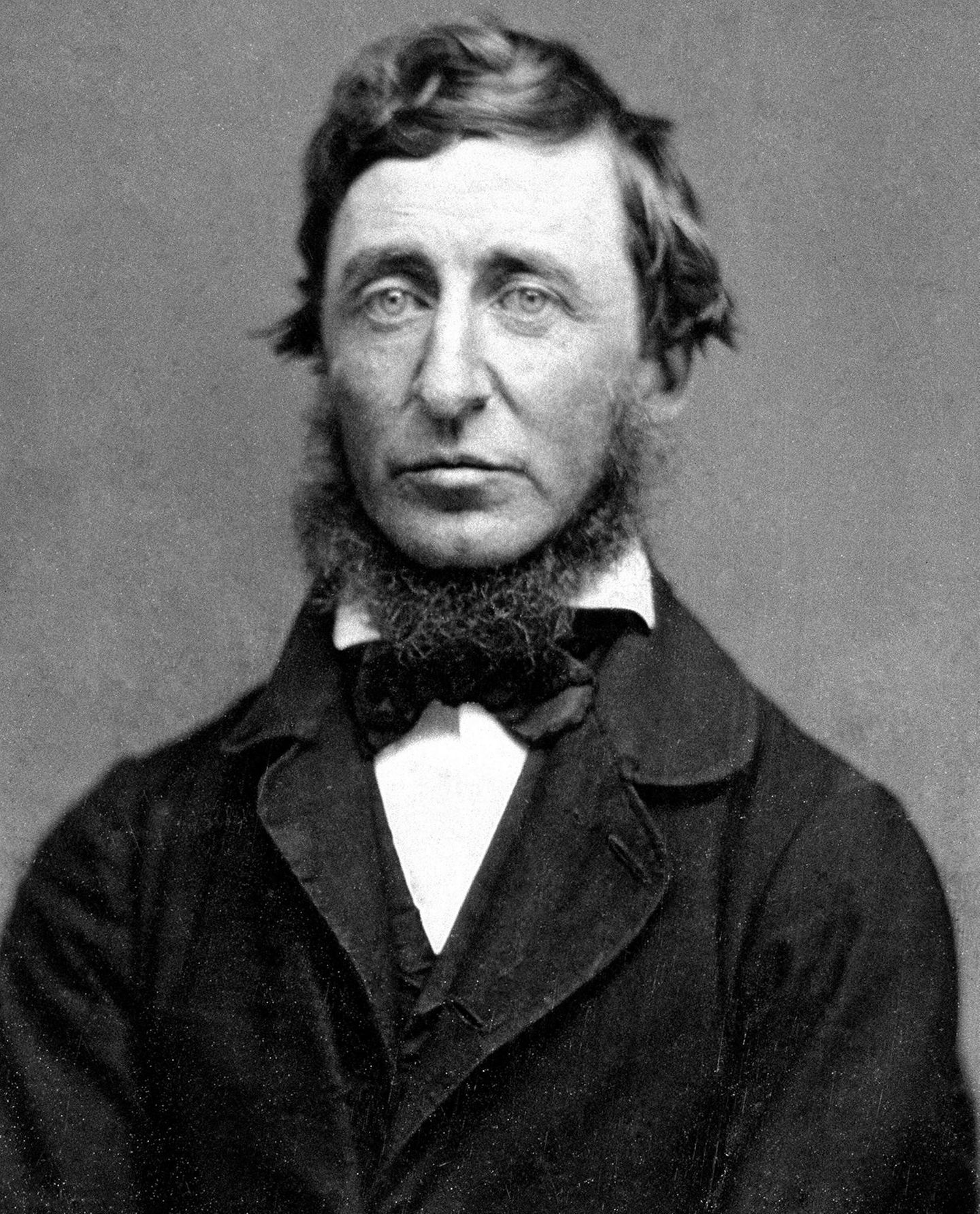 Henry David Thoreau im Jahr 1856
