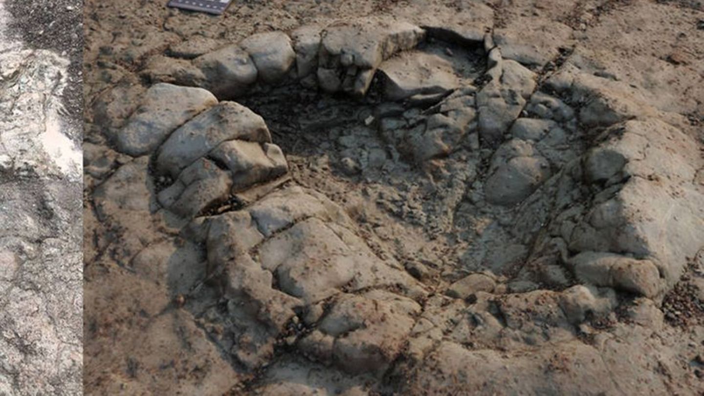 Fußabdruck eines Dinosauriers