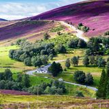 "Snow Roads Scenic Route" im Cairngorms Nationalpark