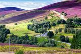 "Snow Roads Scenic Route" im Cairngorms Nationalpark