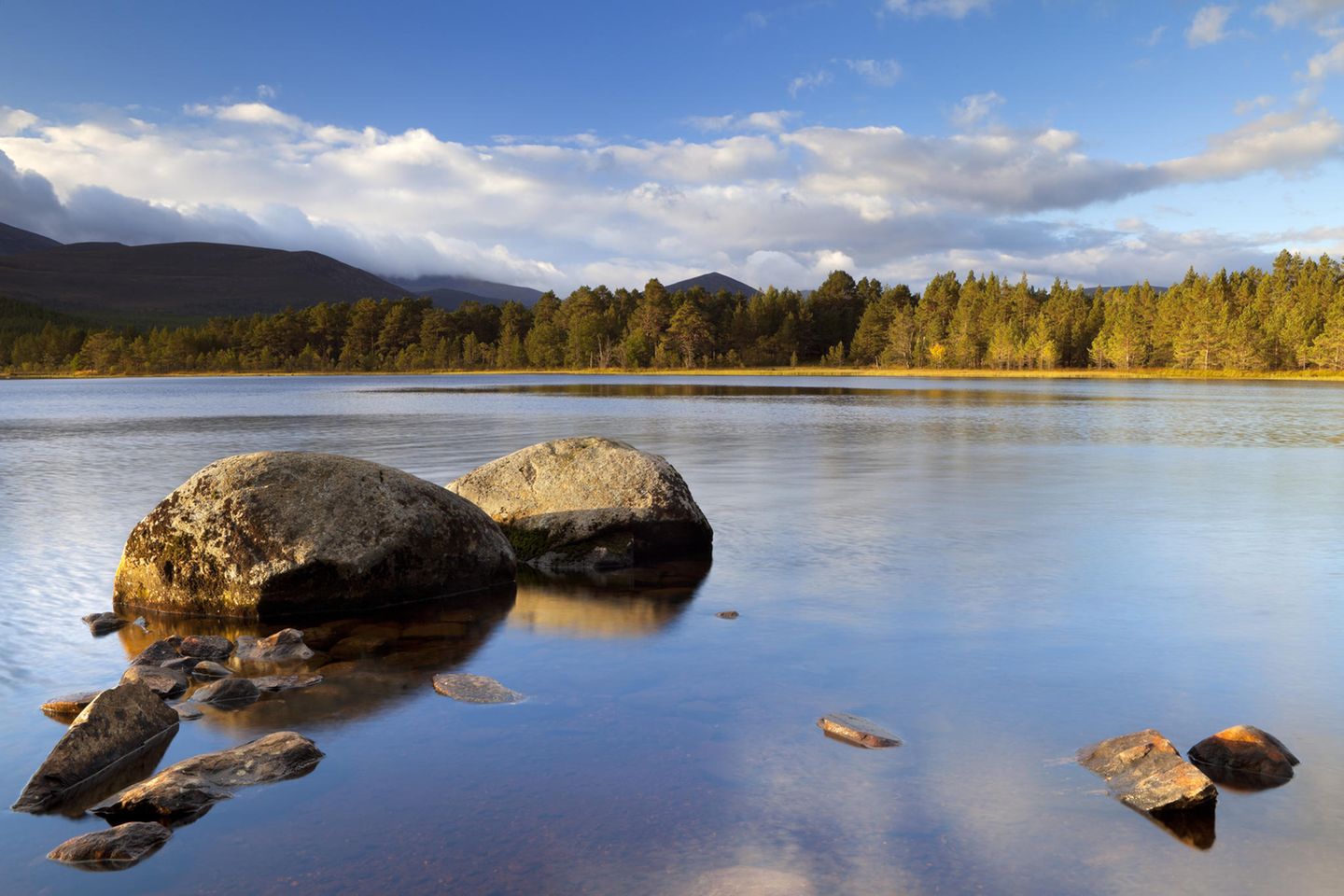 Blick auf den Loch Morlich im Cairngorms Nationalpark