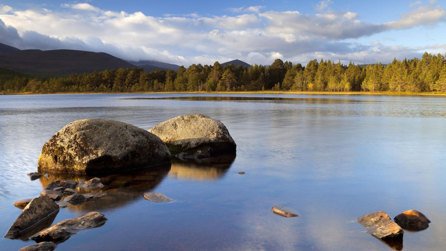 Loch Morlich Blick auf den Loch Morlich im Cairngorms Nationalpark