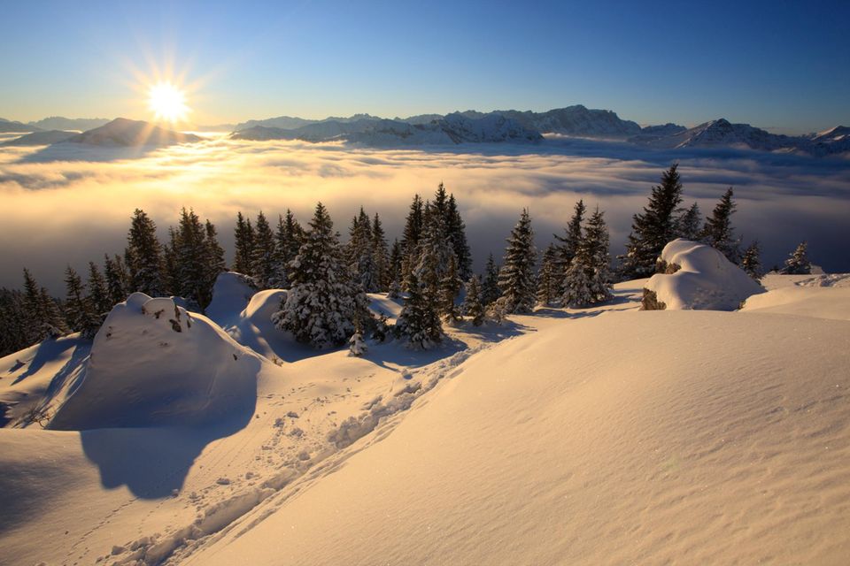 Kalte Wintertage: Jetzt ist die Erde der Sonne nah