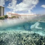 Klimawandel: Die Forscherin Roxanna Miller vom University of Guam Marine Lab untersucht Korallen, die von der Korallenbleiche 2013 und 2014 stark betroffen waren. Sollten sie ganz verschwinden, wären zuerst lokale Fischer betroffen. Denn die Korallen sind Brutstätte zahlloser Fischarten