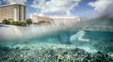 Klimawandel: Die Forscherin Roxanna Miller vom University of Guam Marine Lab untersucht Korallen, die von der Korallenbleiche 2013 und 2014 stark betroffen waren. Sollten sie ganz verschwinden, wären zuerst lokale Fischer betroffen. Denn die Korallen sind Brutstätte zahlloser Fischarten