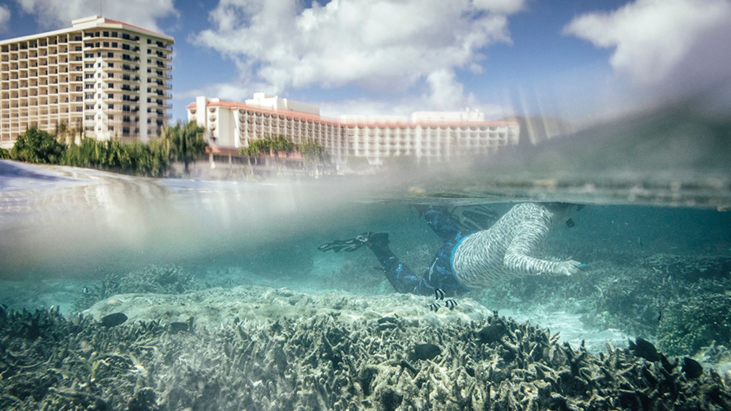 Klimawandel: Die Forscherin Roxanna Miller vom University of Guam Marine Lab untersucht Korallen, die von der Korallenbleiche 2013 und 2014 stark betroffen waren. Sollten sie ganz verschwinden, wären zuerst lokale Fischer betroffen. Denn die Korallen sind Brutstätte zahlloser Fischarten Klimawandel: Die Forscherin Roxanna Miller vom University of Guam Marine Lab untersucht Korallen, die von der Korallenbleiche 2013 und 2014 stark betroffen waren. Sollten sie ganz verschwinden, wären zuerst lokale Fischer betroffen. Denn die Korallen sind Brutstätte zahlloser Fischarten