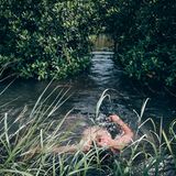 Klimawandel: Auf der Insel Upolu (Samoa) gewährleisten ausgedehnte Mangroven die Versorgung mit Wasser