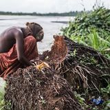 Klimawandel: Salomonen: Im April 2014 wurde bei einem Hochwasser das Haus der zehnjährigen Elva und ihrer Familie weggespült – zusammen mit 20 weiteren Häusern