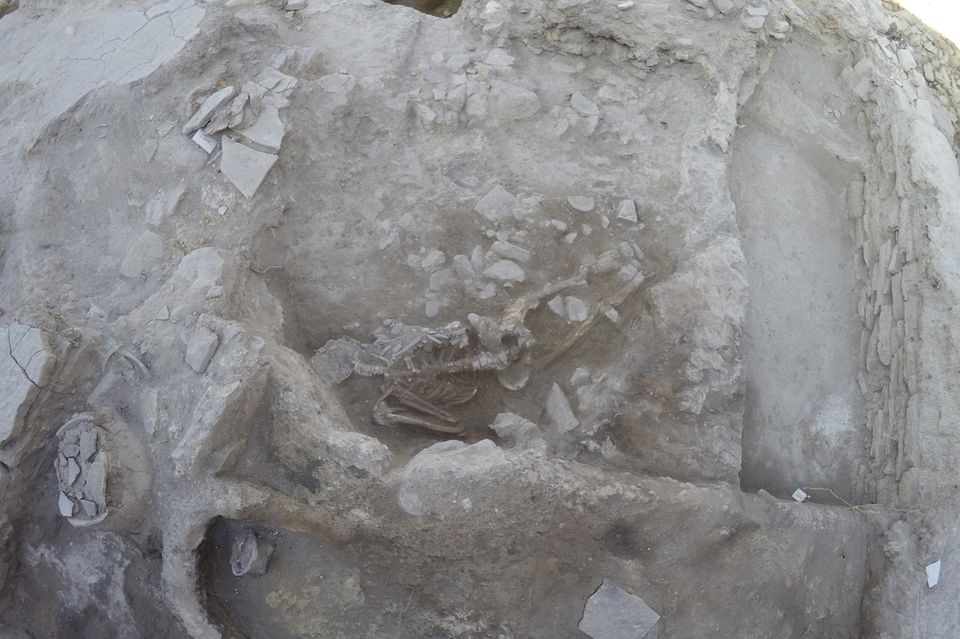 Ausgegrabenes Skelett eines Tsunami-Opfers