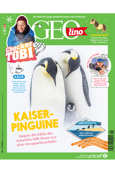 GEOlino Magazin: Kaiserpinguine