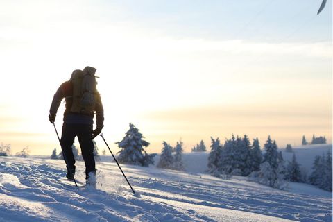Abgefahren! Vom Feldberg geht es einige Kilometer hinunter. Meist aber ist die Tour auf Langlaufski ein einziger Höhepunkt