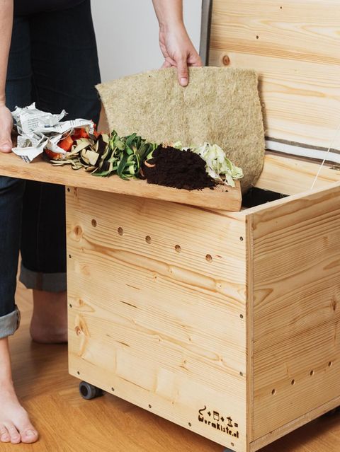 Anfangs sollen die Mengen nicht zu üppig sein, doch nach einer Weile verputzen die Würmer auch größere Portionen