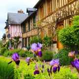 Fachwerkhäuser von Le Bec-Hellouin mit Blumen im Vordergrund