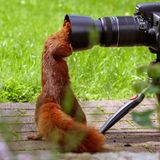 07.01.2022  "Nahaufnahme"  Kamera: Canon 90d Canon 70-200mm f4 IS USM