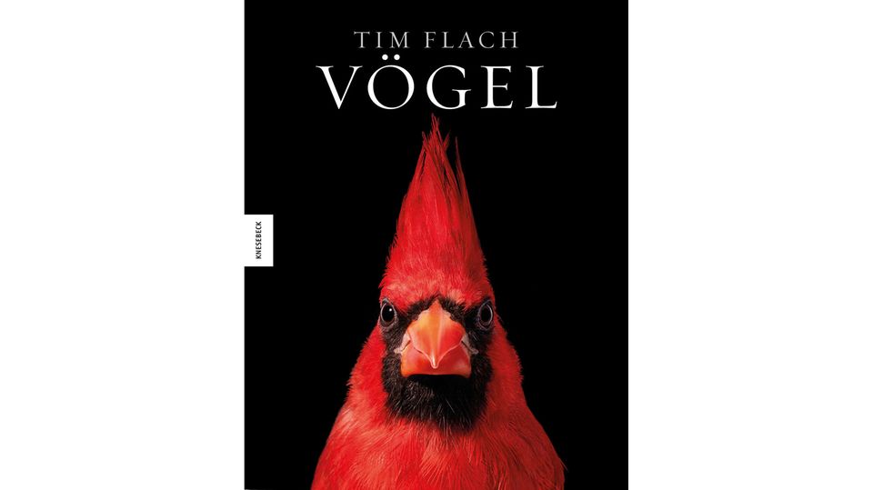 Schillernde Farben, ausgefallenes Gefieder oder spektakuläre Schnäbel. Tim Flach setzt die Vogelwelt in seinem Studio in Szene. Textlich begleitet und abgerundet wird diese Hommage an die Vogelwelt von Richard Prum, Evolutionsornithologe und Professor an der Yale University. Der opulente Bildband ist im Knesebeck Verlag erschienen und für 68,00 € erhältlich.