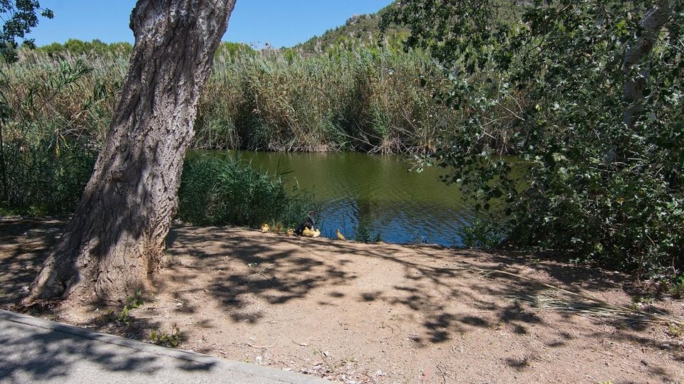 Torrent Canyamel