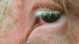 Kann sich Gesichter von Menschen visuell einprägen und diese wiedererkennen.