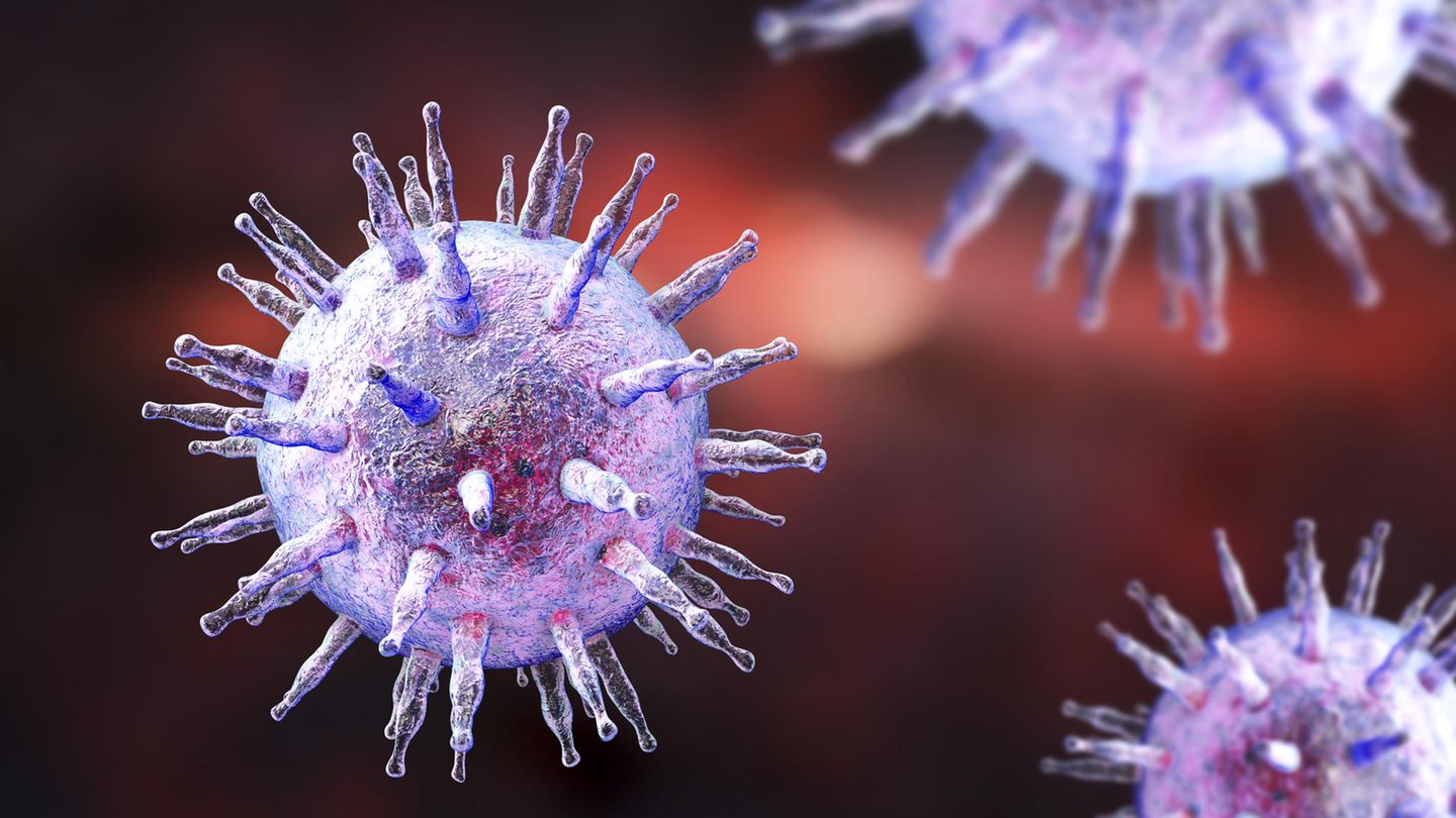 Eine Illustration des Epstein-Barr-Virus: Etwa 95 Prozent aller Menschen infizieren sich im Laufe ihres Lebens mit dem Erreger