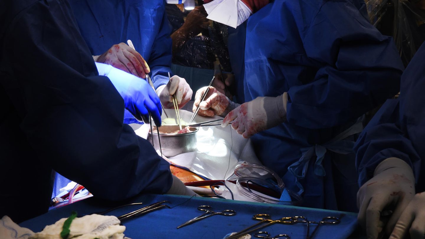 Erstmals Schweineherz-Transplantation für einen Menschen