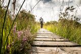Wanderer läuft über einen Holzbohlenwege im Naturpark Hohes Venn