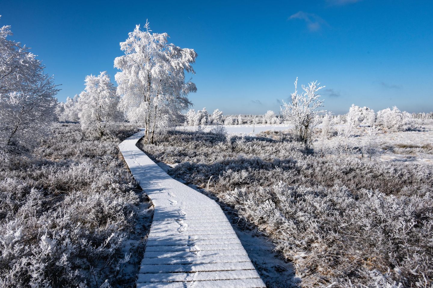 Hohes Venn im Winter im Schnee